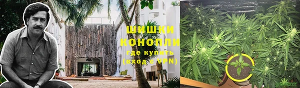 дмт Абаза