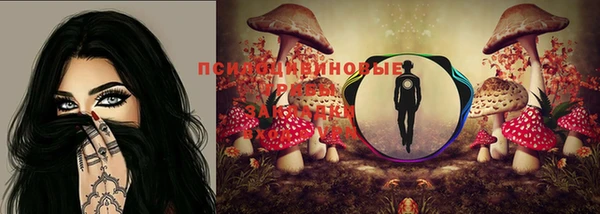 дмт Абаза