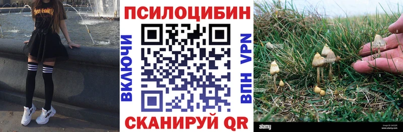 Псилоцибиновые грибы Psilocybine cubensis Покачи